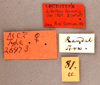 Media type: image; Entomology 26473   Aspect: labels